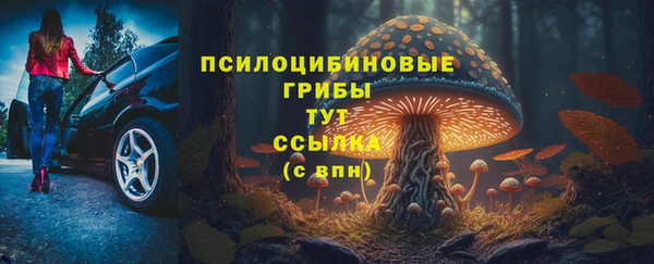 дмт Алексеевка