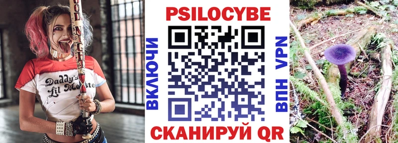 Псилоцибиновые грибы Cubensis Чёрмоз